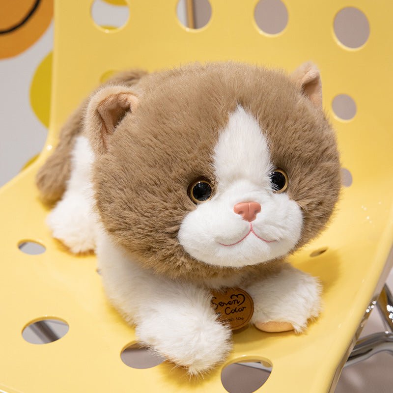 catdoll peluche chat réaliste – doudou enfant | CuteCatDoll - Mon Univers Enfant