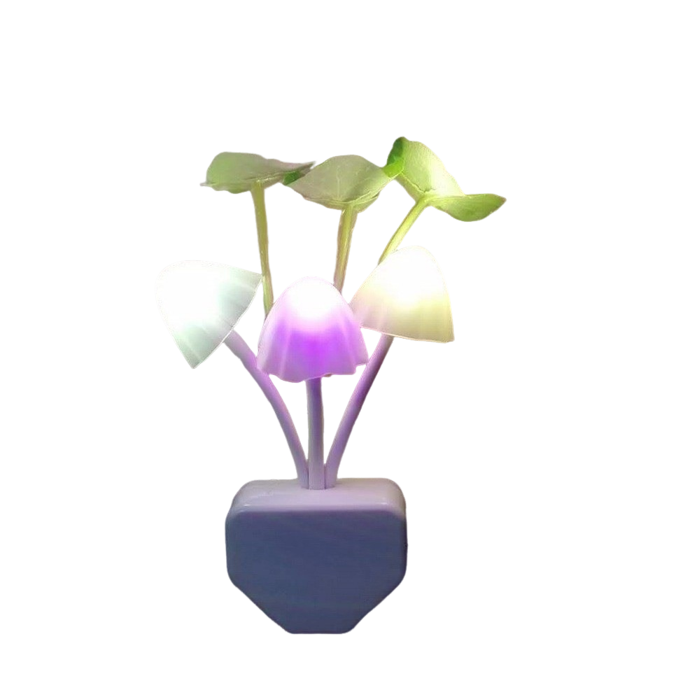 veilleuse champignon champilight