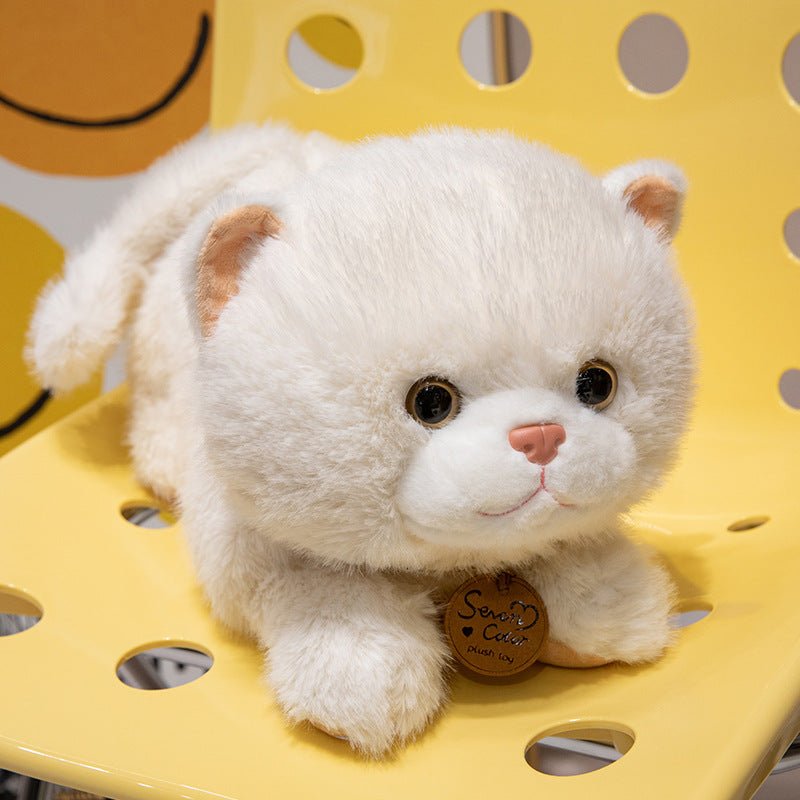 catdoll peluche chat réaliste – doudou enfant | CuteCatDoll - MUE - Mon Univers Enfant
