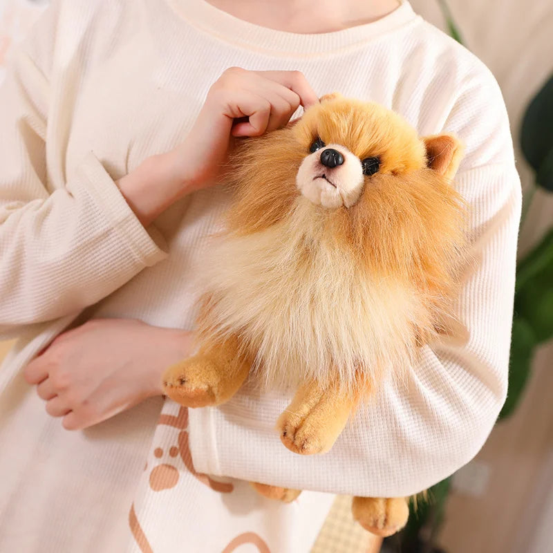 enfant avec peluche chien 23cm doudouapaisant brun