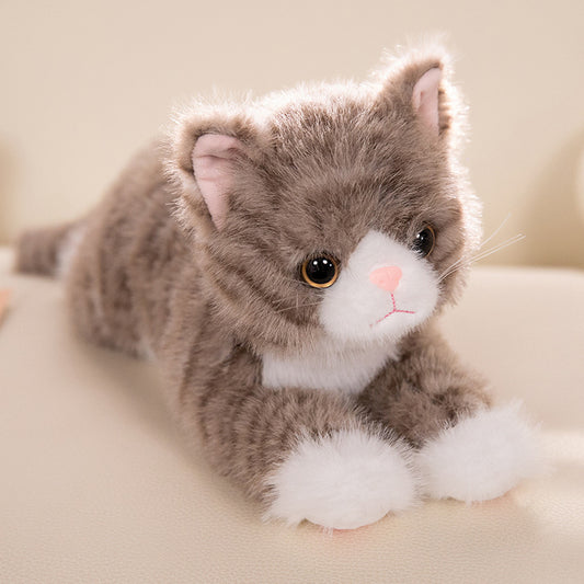 mignones peluche chat realiste brun catdoll 40cm