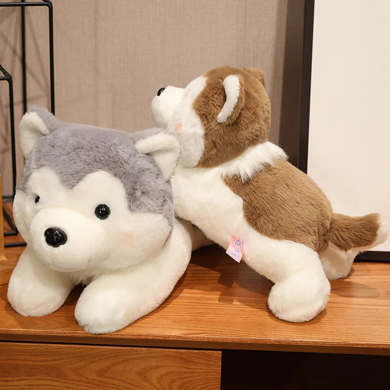 peluche chien douxcalin 30 40cm
