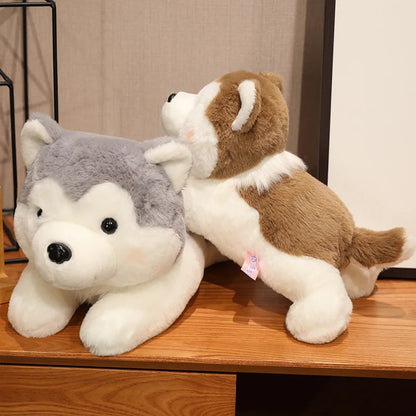 peluche chien douxcalin 30 40cm
