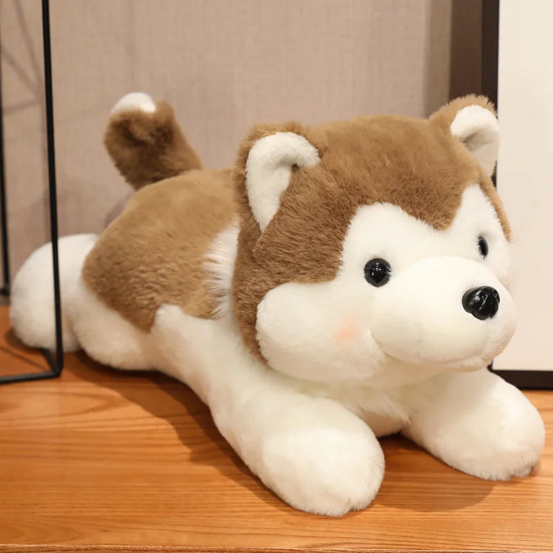 peluche chien douxcalin brun au salon
