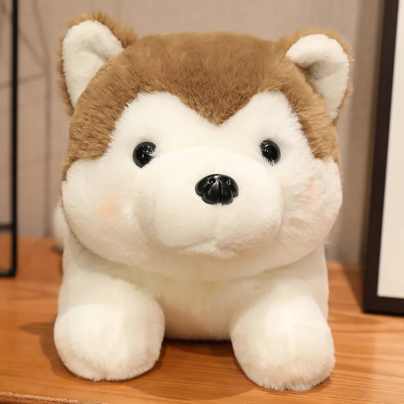 peluche chien douxcalin brun
