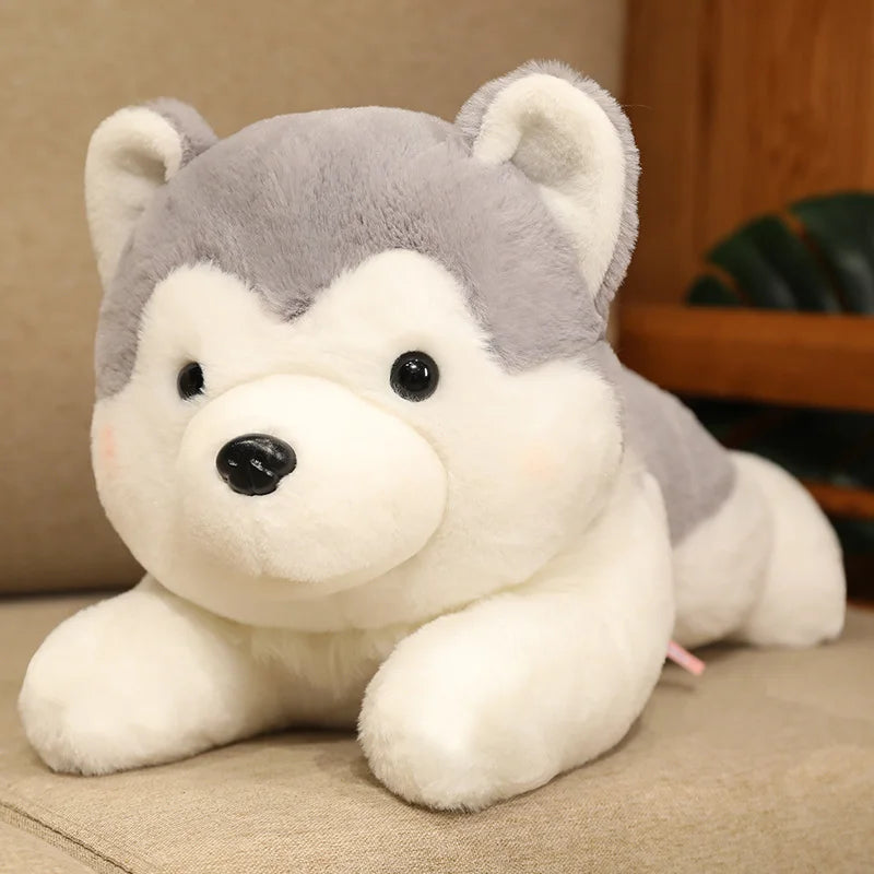 peluche chien douxcalin gris 40cm
