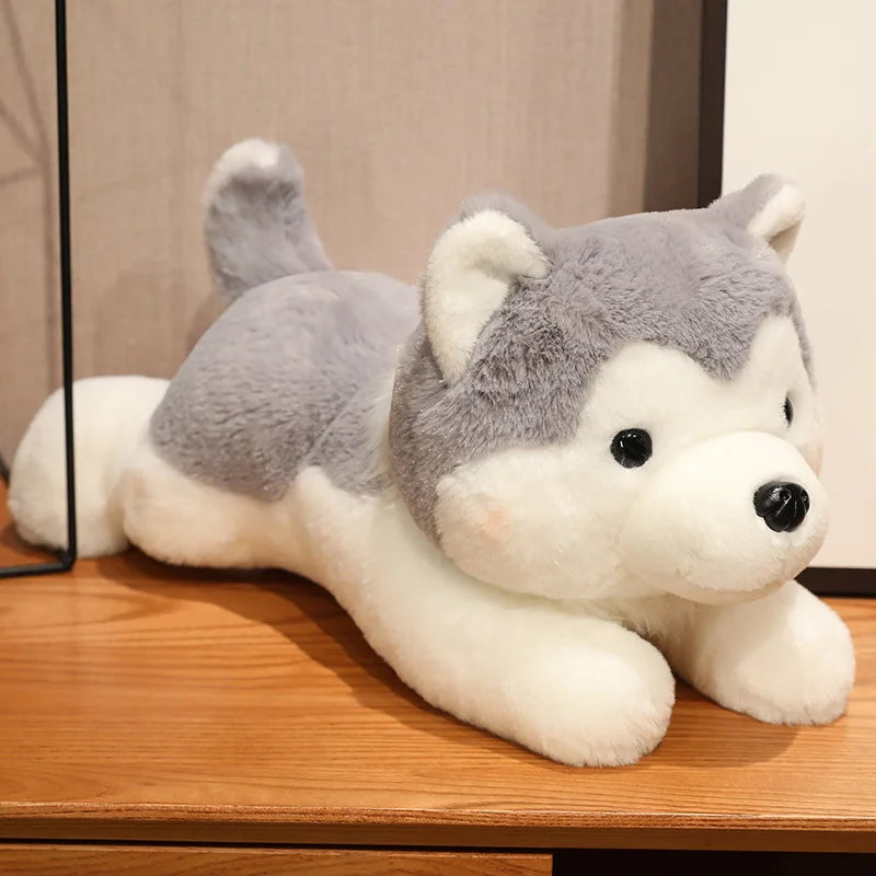 peluche chien douxcalin gris au salon