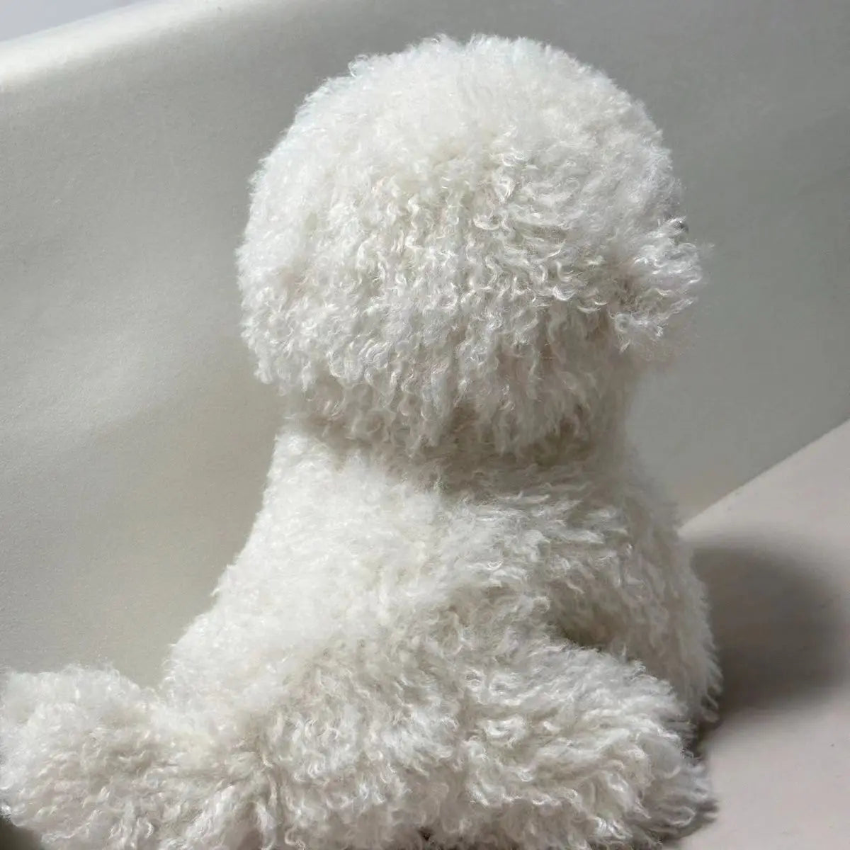 peluche chien muebichon fourrure epaisse