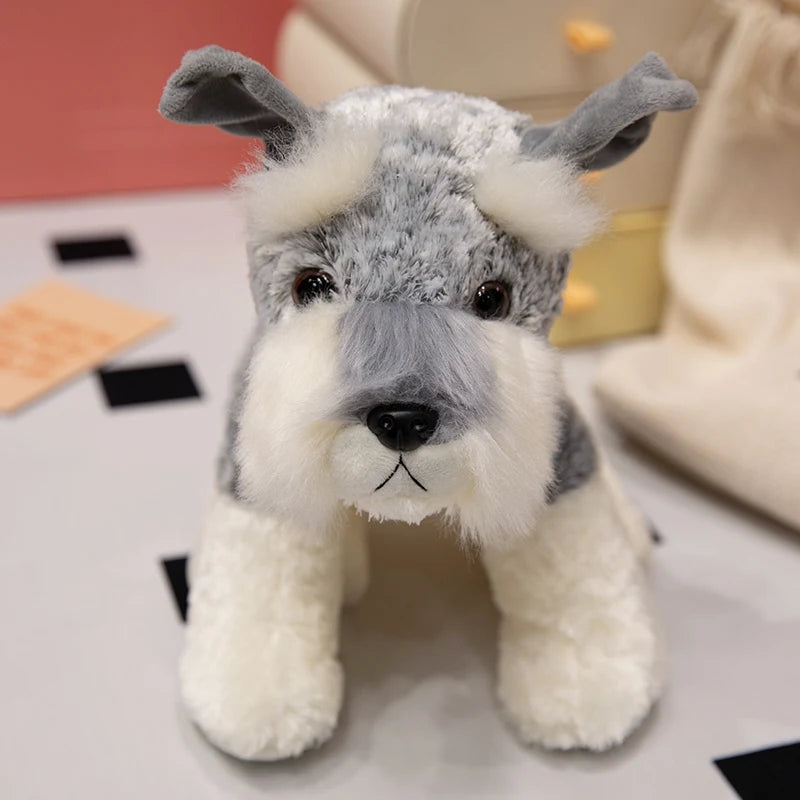 peluche chien mueschnauzer cute

