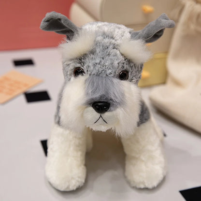 peluche chien mueschnauzer cute
