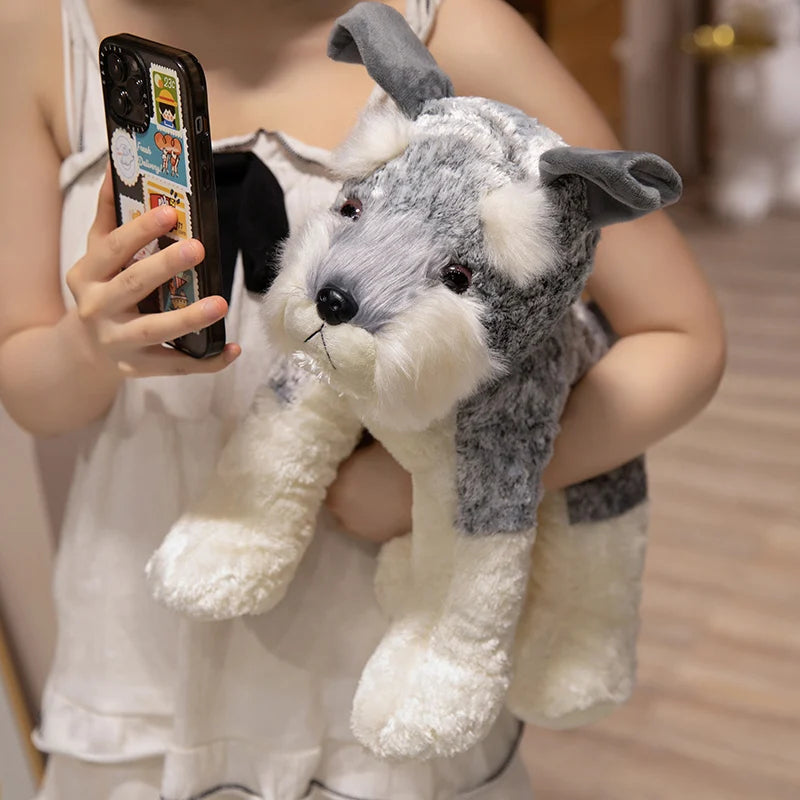 peluche chien mueschnauzer dans les bras