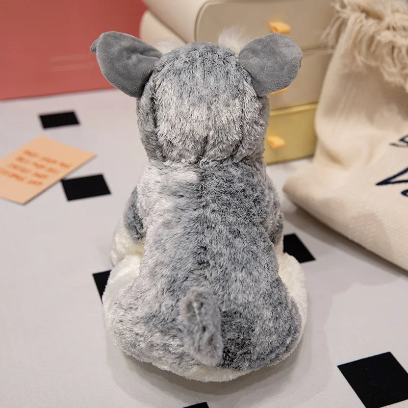 peluche chien mueschnauzer fourrure soyeuse