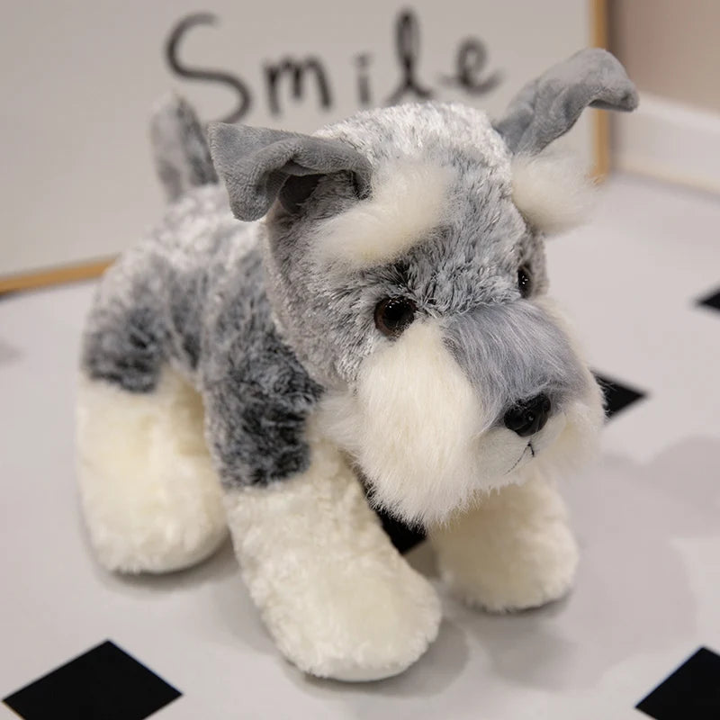 peluche chien mueschnauzer sourire