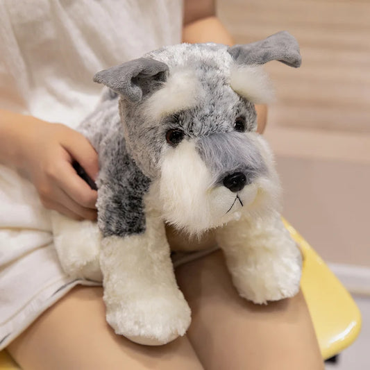 peluche chien mueschnauzer