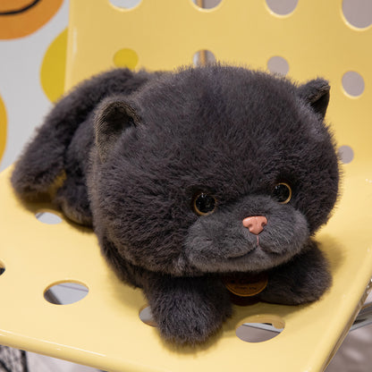 catdoll peluche chat réaliste – doudou enfant | CuteCatDoll