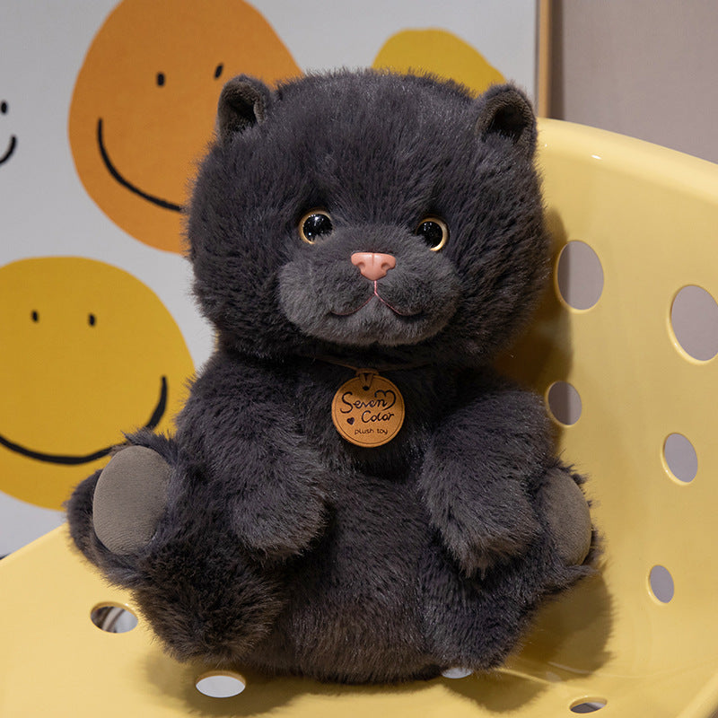 catdoll peluche chat réaliste – doudou enfant | CuteCatDoll
