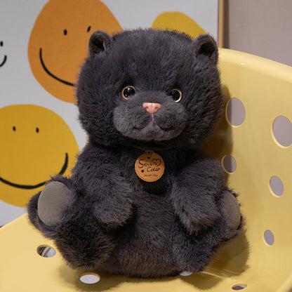 catdoll peluche chat réaliste – doudou enfant | CuteCatDoll