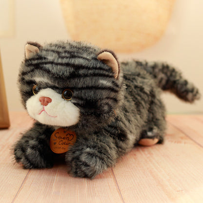 catdoll peluche chat réaliste – doudou enfant | CuteCatDoll