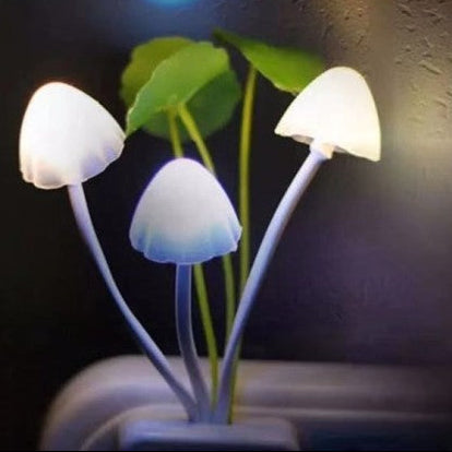 veilleuse champignon champilight douce lumiere
